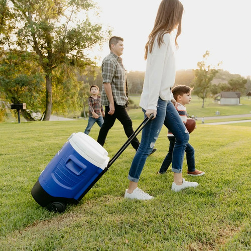 New igloo gallon - igloo,