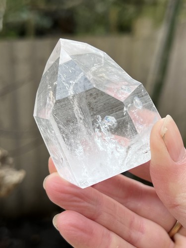 Large lemurian seed very - seed,