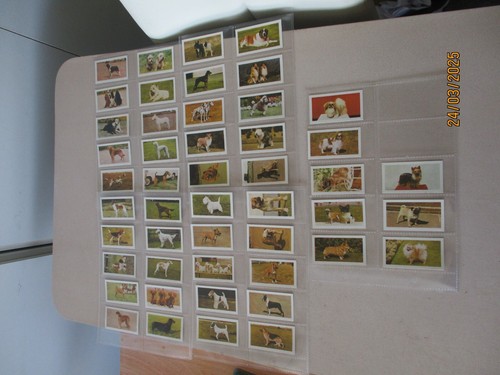 Hornimans tea dogs 1961 full - hornimans,
