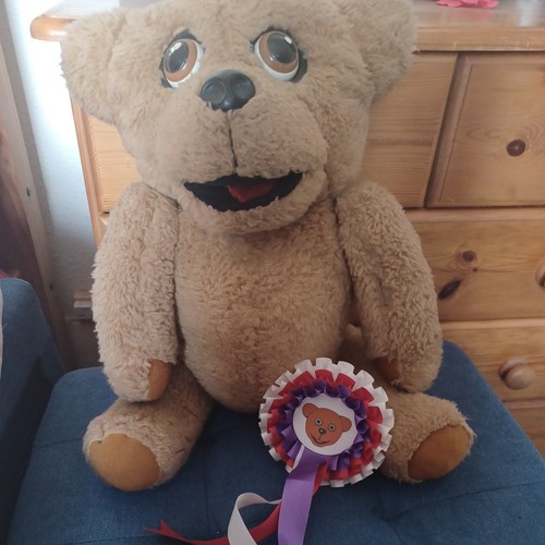 Vintage nookie bear soft toy - nookie,