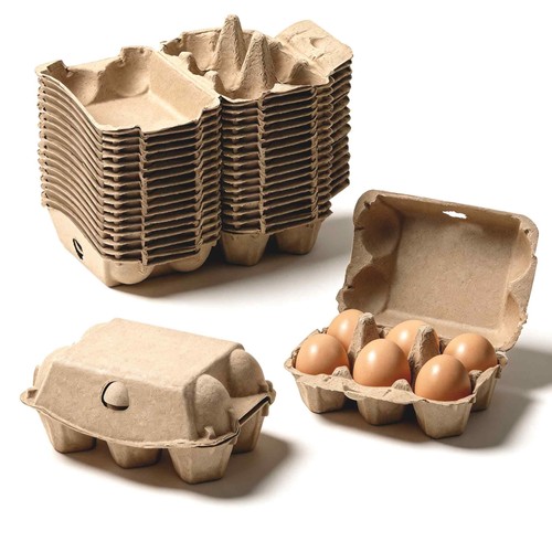 Count egg storage - 6,