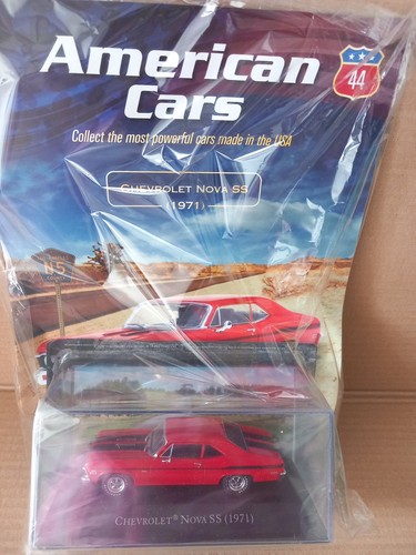 Hachette authentic american - hachette,