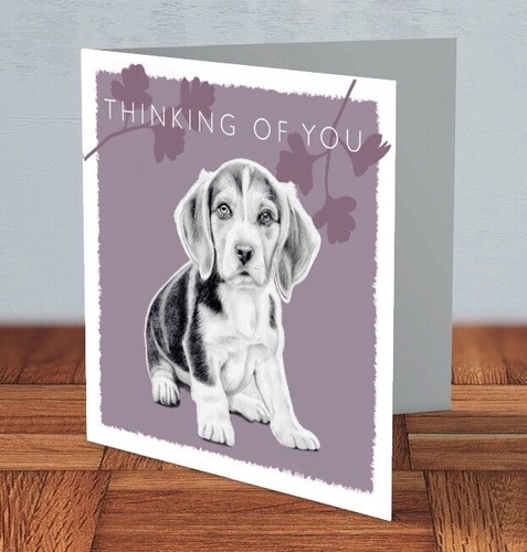 Beagle puppy dog thinking - beagle,