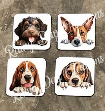 Peeking Dog - 34  Breeds beginning with the letter B  Coasters