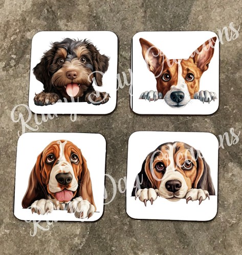 Peeking dog breeds - 34,