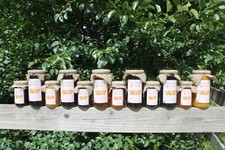 Samples unpasteurized fresh - samples,