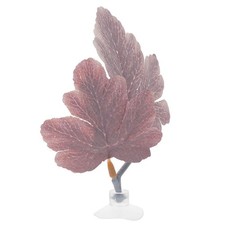 Axolotl Tank Accessories Betta