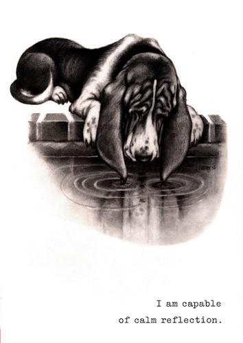 Basset hound dog - greeting, card