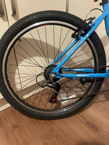 Mountain bike - mountain,