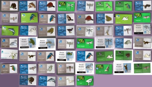 Rspb pin badges the - rspb,