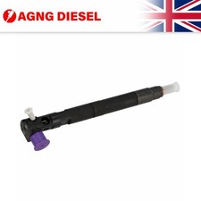 Reconditioned Delphi Injector