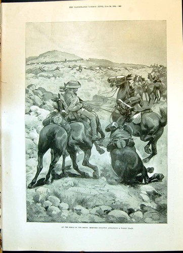 Old 1900 boers war mounted - boers,