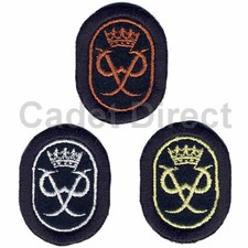 Latest ACF CCF DofE Award Scheme Badges