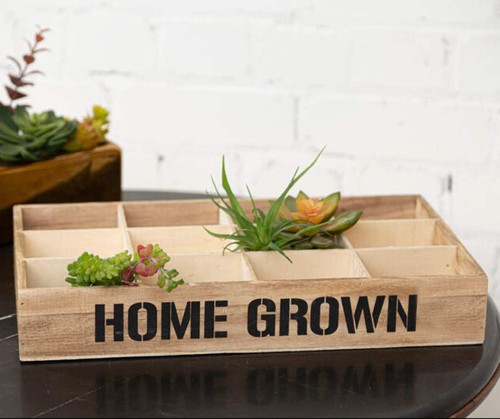 Compartments herbs seed - 12,