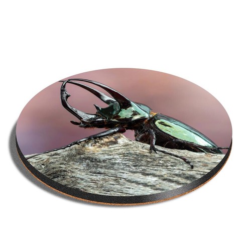 Round mdf coaster - atlas, beetle