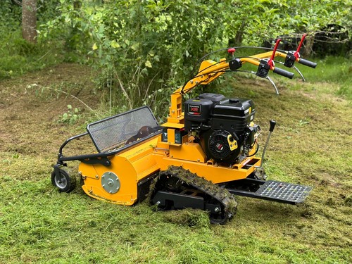 Brand new petrol pedestrian - new,