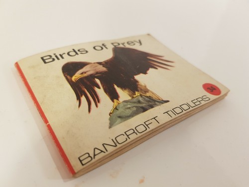 Birds prey bancroft - birds, of