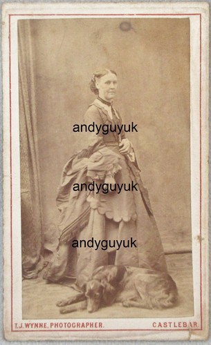 Cdv lady dog lurcher - lady, by