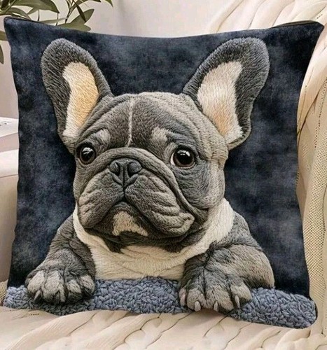 Beautiful french bulldog - 1,