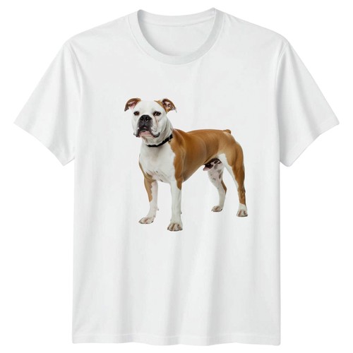 American bulldog portrait - bulldog,