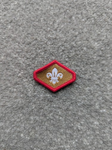 Chief scout gold award - scout,