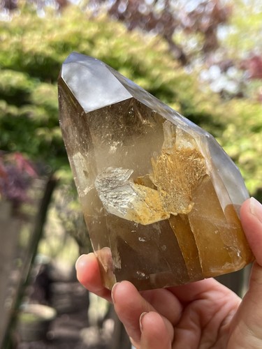 Brazilian champagne citrine - brazilian,