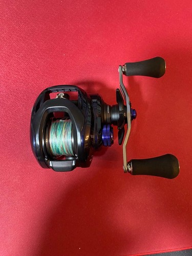 Excellent daiwa saltist - excellent,