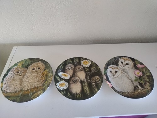 Wedgwood the baby - owls, plates