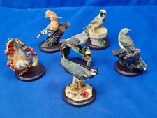 Country Bird Collection. Lapwing Hoopoe Fieldfare Black Cap Sparrow Grey Wagtail
