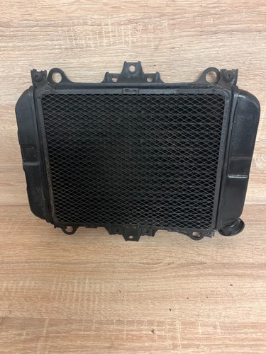 Kawasaki kr1 kr1s - kr1, radiator