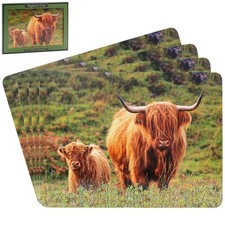 Country highland cow calf - cow, &