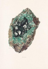1968 DIOPTASE Print - Vintage Mineral Wall Art Gift - 7.5 x 10.6 Inches