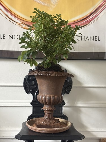 Antique cast iron campana - antique,