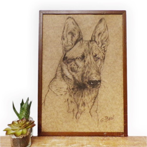 Framed dog art drawing - dog,