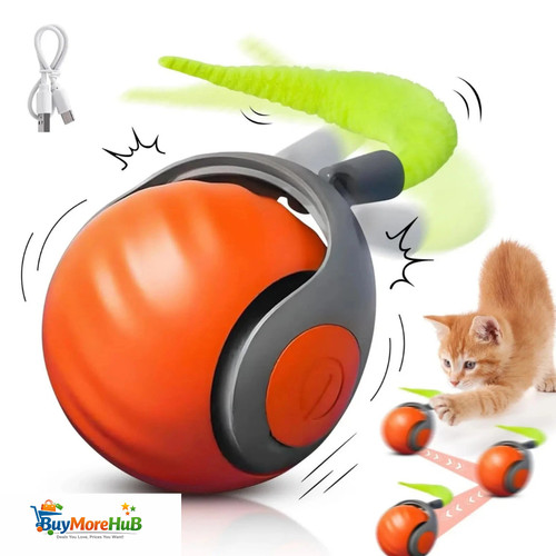 Speedy tail interactive - speedy,