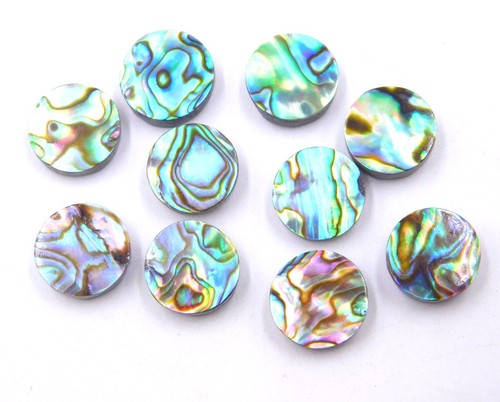 Natural abalone shell - natural,