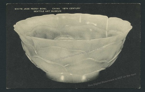1950s photo postcard - postcard, white