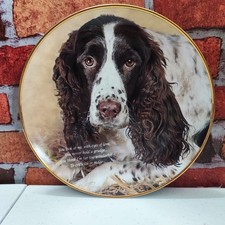 Danbury Mint “Eyes Of