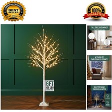 Elegant 6ft White Birch Twig