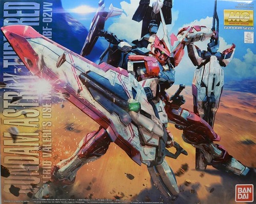 Bandai 100 master grade - master,