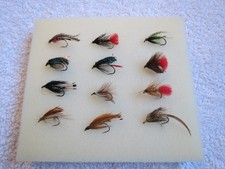 12 NEW  TRADITIONAL SEA -