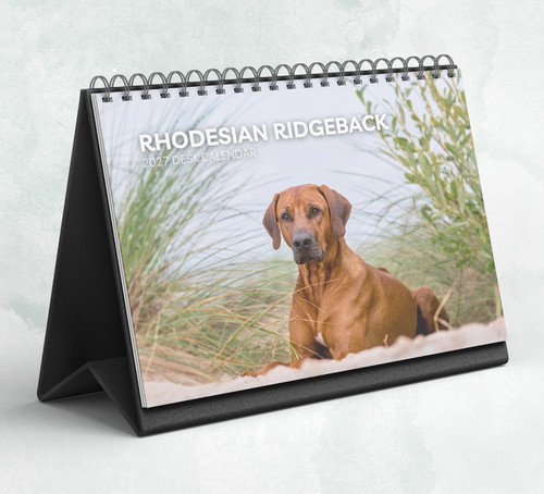 Rhodesian ridgeback desk - rhodesian,