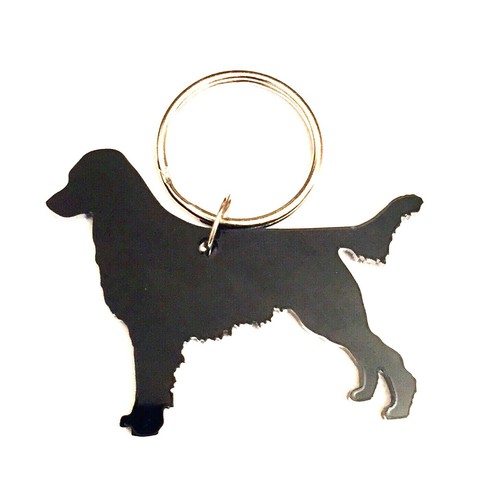 Flat coated retriever dog - coated,