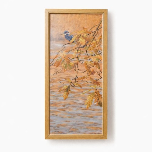 Martin ridley kingfisher - ridley,