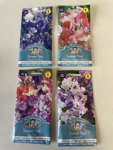 Sweet pea twilight plus - sweet,