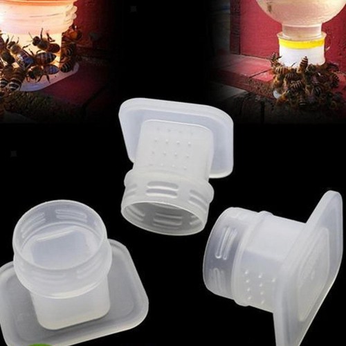 Beekeeping bees water feeder - beekeeping,