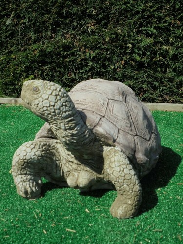 Tortoise concrete garden