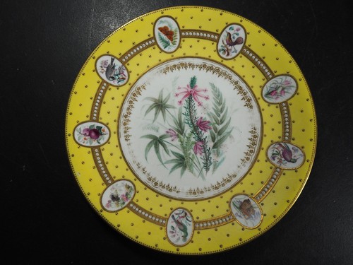 Antique worcester porcelain - antique,