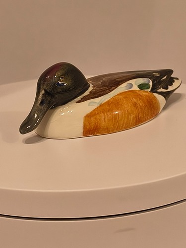 Beswick shoveller duck model - beswick,