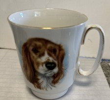 royal windsor fine bone china